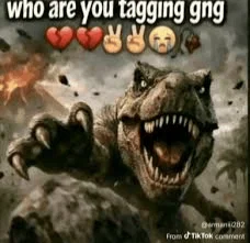 WhoYouTaggingGng