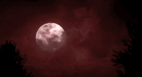 0bed7387d58407b7099d11bd3fd36246.gif