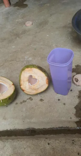 Coconut