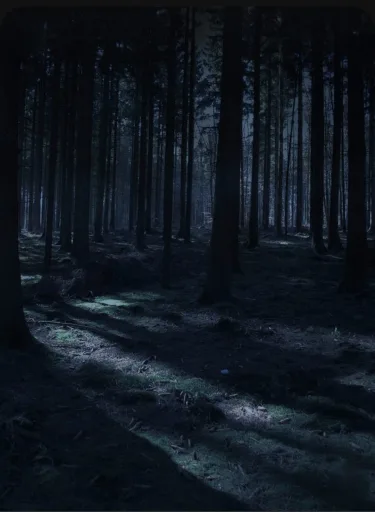 Monster forest