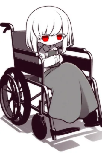 Wheel Chair Chan