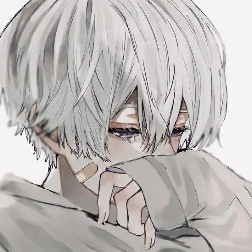 Aiden
