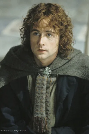 Peregrin 'Pippin' Took