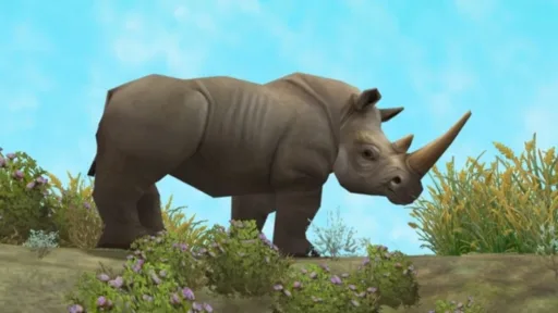 White Rhinoceros