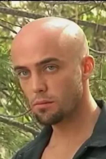 Brad