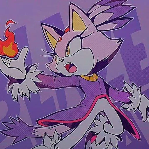 Blaze the cat (minus the stuff no one cares)