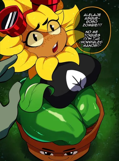 Solar Flare