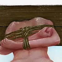 尔耳