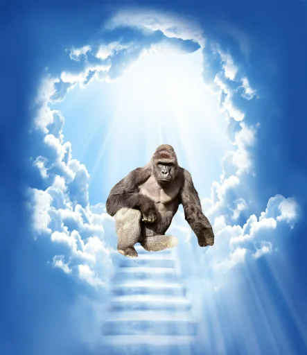 Saving Harambe