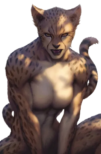 Cheetah