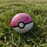 pokemonsetting