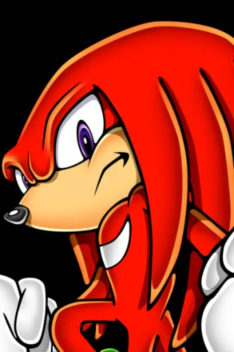 Knuckles The Echidna