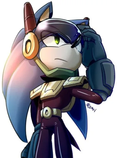 Zonic