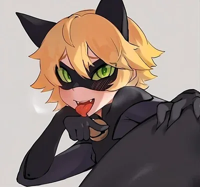 Cat Noir