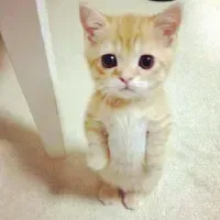 RAHHHHHHHHHHHHHHHHHH