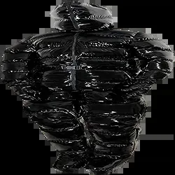 Black Shiny Parka