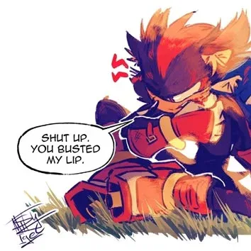 Shadow The Hedgehog