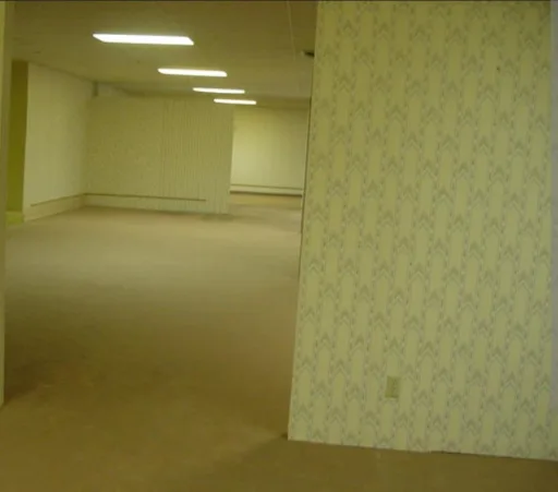 The backrooms