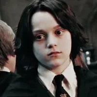 Harry Potter's Lorebook