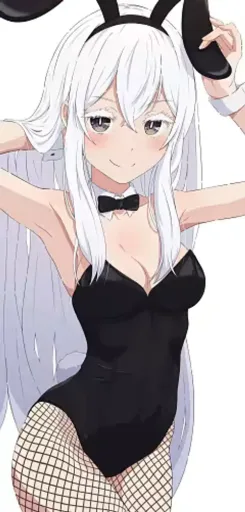 Echidna