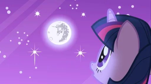 MLP 1-1