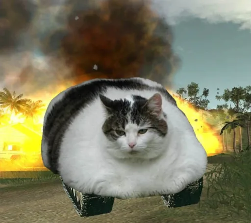 cat tank