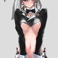 Reverse Bunnysuit