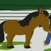 Poni