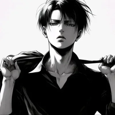 Levi Ackerman