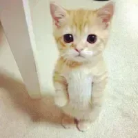 RAHHHHHHHHHHHHHHHHHH