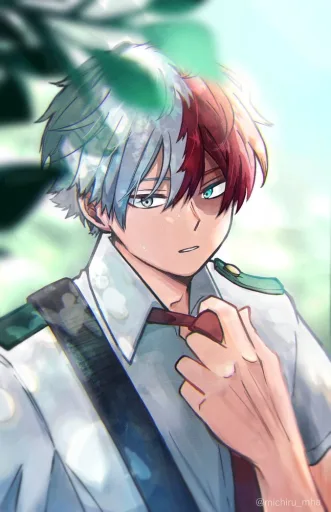 Shoto todoroki