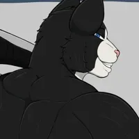 CHAD🐈⬛