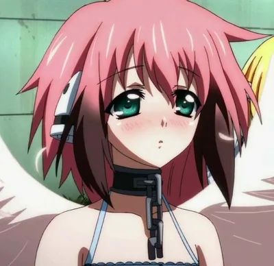 Ikaros - Lite Version