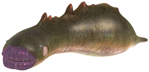 Sandbelching Meerslug