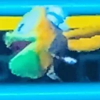 Daxter (Pac-Man mini game)