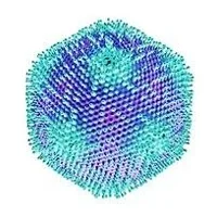 Calciphage Virus