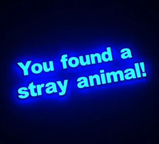 Stray Animal