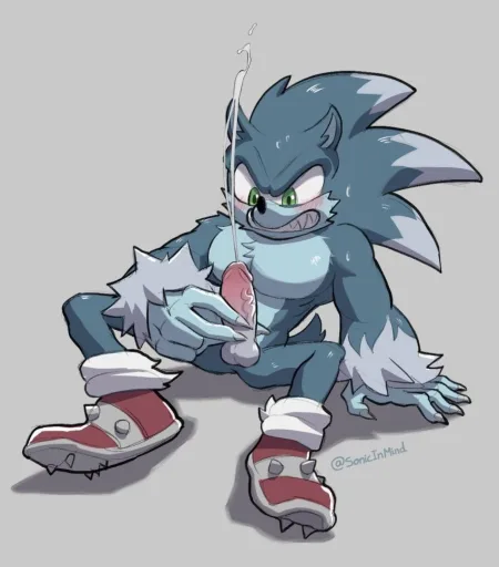 sonic the werehog