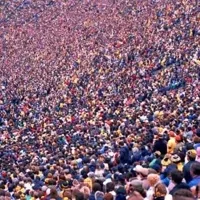 The Crowd | ANY SITUTATION