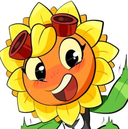 Solar Flare