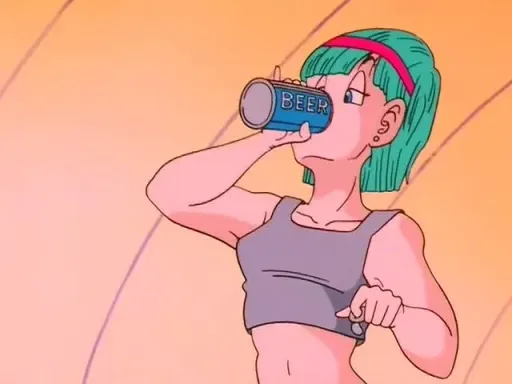 Bulma Briefs