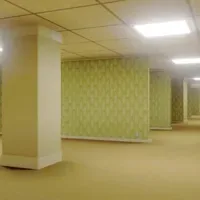 …