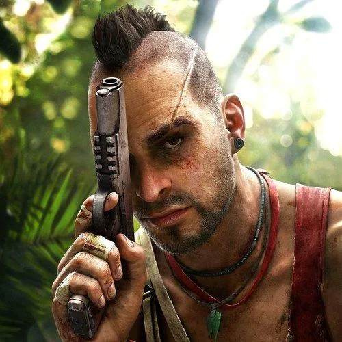 Vaas