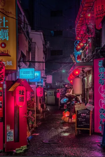 Tokyo Pleasure House