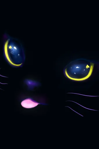 Chloe, The Cat