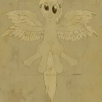 Pony Anatomy
