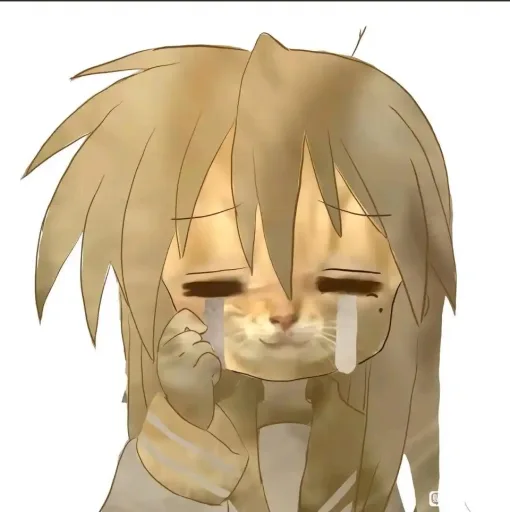 Cat Issue