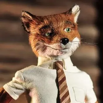 Mr. Fox