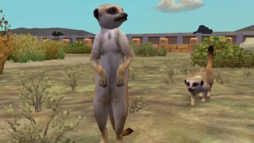 Meerkat