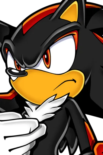 Shadow The Hedgehog